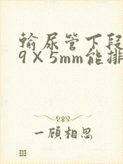 输尿管下段结石9×5mm能排出吗