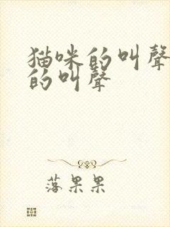 猫咪的叫声猫咪的叫声