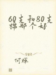 60支和80支棉哪个好