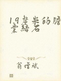 1.9厘米的胆囊结石