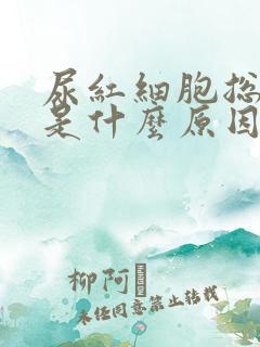 尿红细胞总数高是什么原因