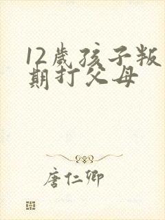 12岁孩子叛逆期打父母