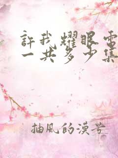 许我耀眼电视剧一共多少集啊