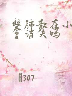 双肺散在小结节会消失吗