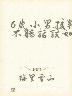 6岁小男孩叛逆不听话该如何管教?