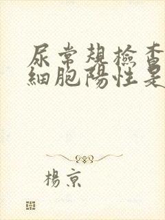 尿常规检查尿白细胞阳性是什么意思