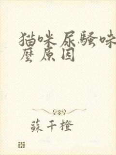 猫咪尿骚味重什么原因