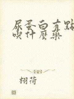 尿蛋白有点偏高吃什么药