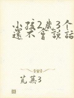 小孩2岁3个月还不会说话怎么办