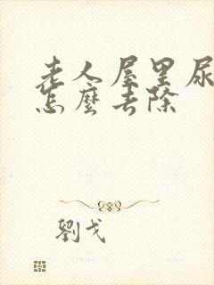 老人屋里尿骚味怎么去除