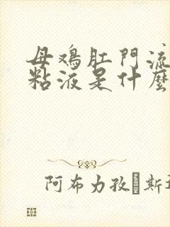 母鸡肛门流白色粘液是什么原因