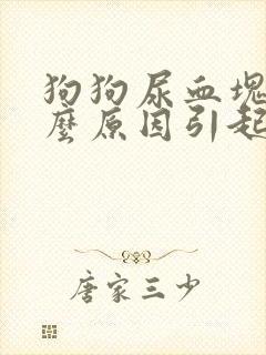 狗狗尿血块是什么原因引起