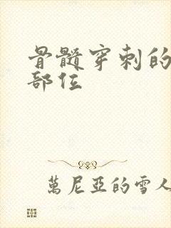 骨髓穿刺的首选部位