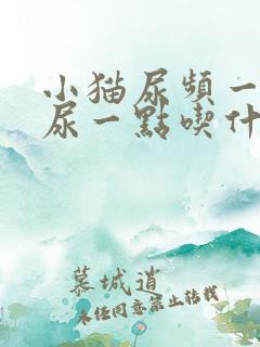 小猫尿频一次只尿一点吃什么药