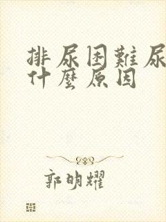 排尿困难尿频是什么原因