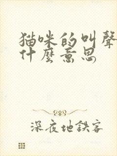 猫咪的叫声代表什么意思