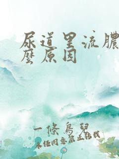 尿道里流脓是什么原因