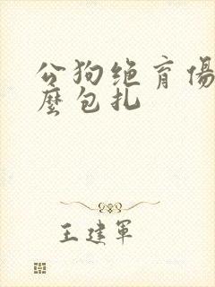 公狗绝育伤口怎么包扎