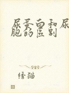 尿蛋白和尿白细胞的区别