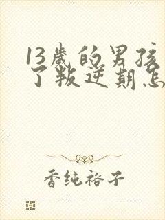 13岁的男孩到了叛逆期怎么教