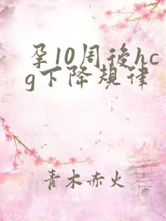 孕10周后hcg下降规律