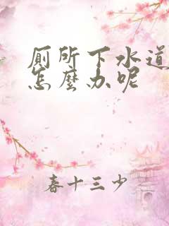 厕所下水道堵了怎么办呢