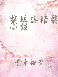 系统集精系统 小说