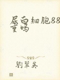 尿白细胞88严重吗