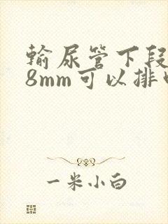 输尿管下段结石8mm可以排吗