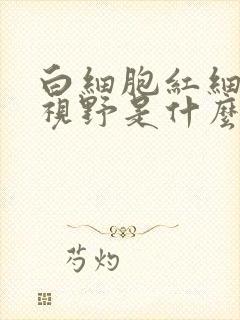 白细胞红细胞满视野是什么意思