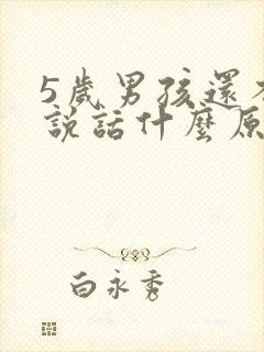 5岁男孩还不会说话什么原因