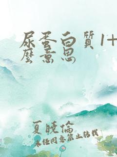 尿蛋白质1+什么意思