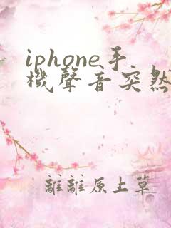 iphone手机声音突然变小了怎么办