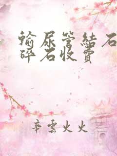 输尿管结石体外碎石收费