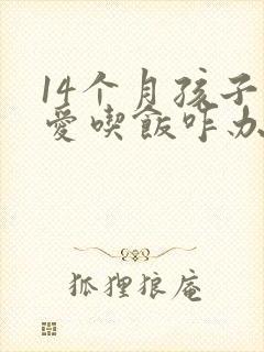 14个月孩子不爱吃饭咋办