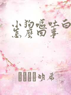 小狗呕吐白沫是怎么回事