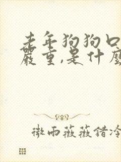 老年狗狗口臭很严重,是什么原因导致的?