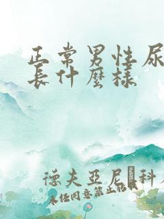 正常男性尿道口长什么样