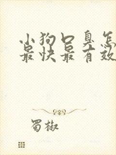 小狗口臭怎么治最快最有效