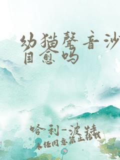 幼猫声音沙哑会自愈吗