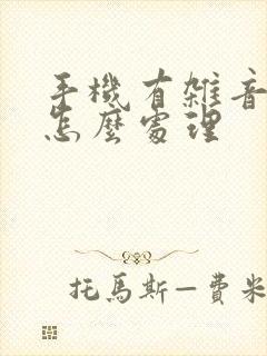 手机有杂音滋滋怎么处理