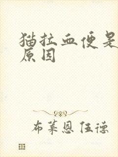 猫拉血便是什么原因