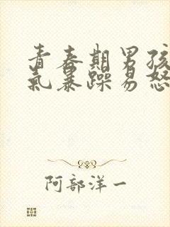 青春期男孩子脾气暴躁易怒吃什么药