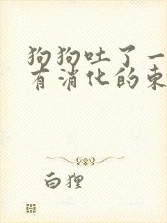 狗狗吐了一堆没有消化的东西