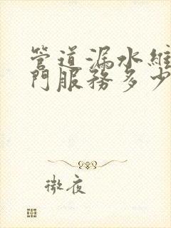 管道漏水维修上门服务多少钱