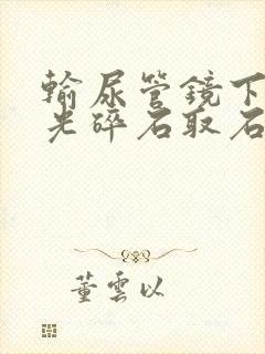 输尿管镜下钬激光碎石取石术多少钱