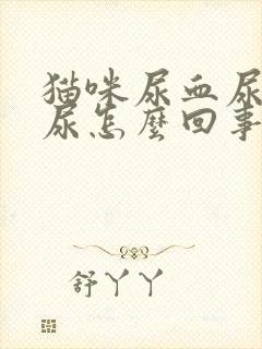 猫咪尿血尿频乱尿怎么回事啊