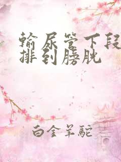 输尿管下段结石排到膀胱