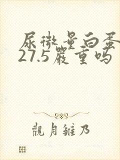 尿微量白蛋白高27.5严重吗