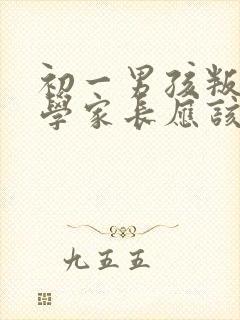 初一男孩叛逆厌学家长应该怎么办